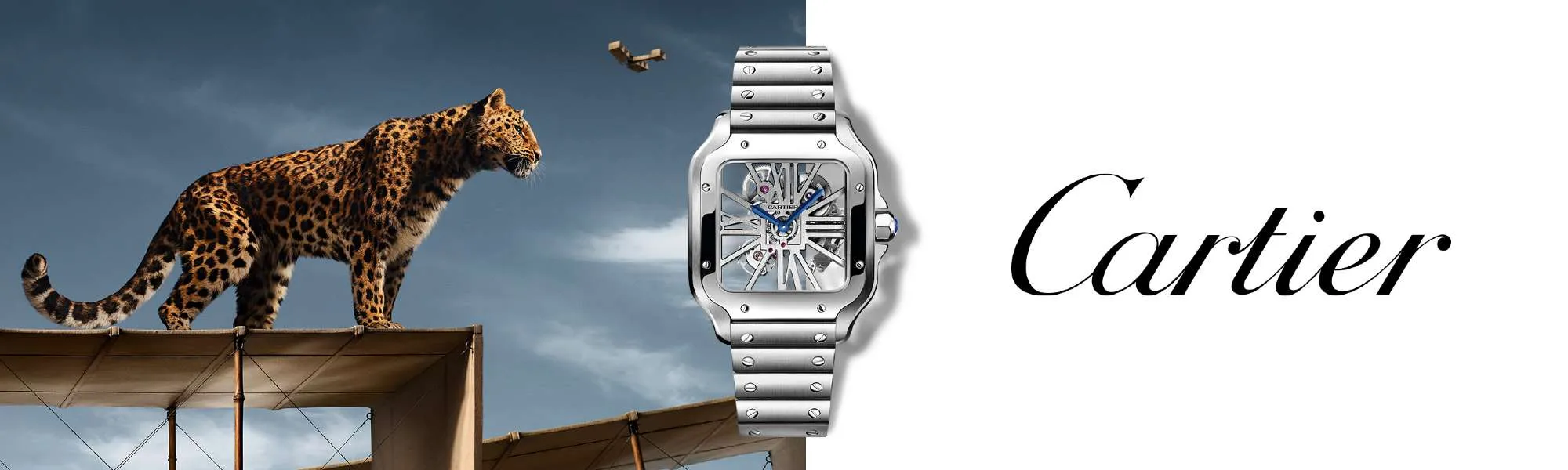 cartier-143d13d7