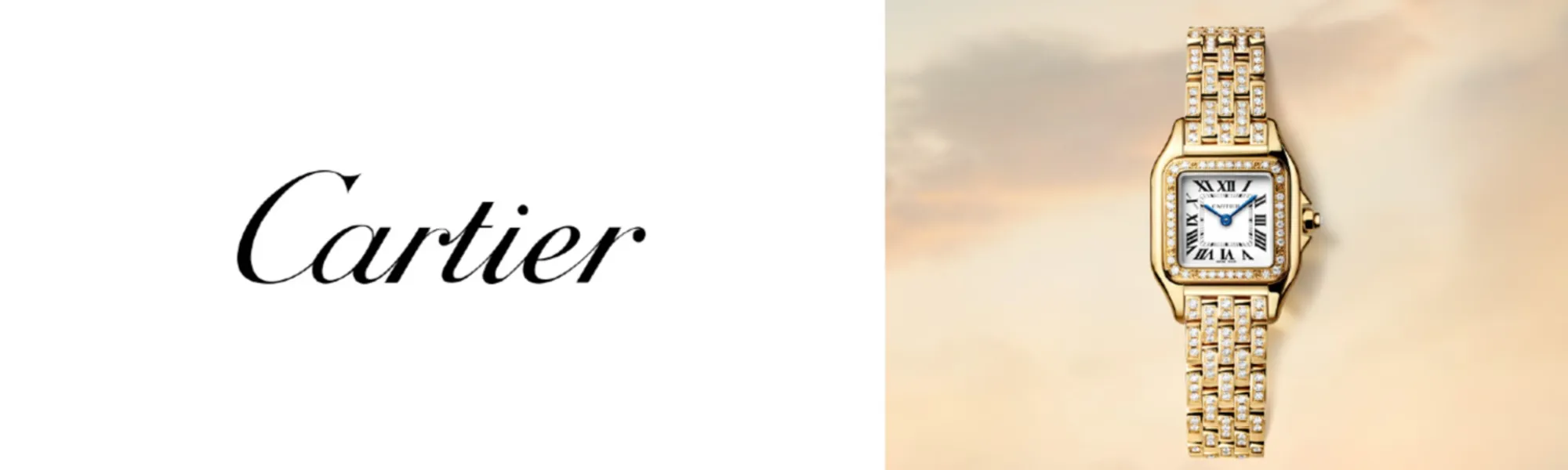 cartier-5000c83b