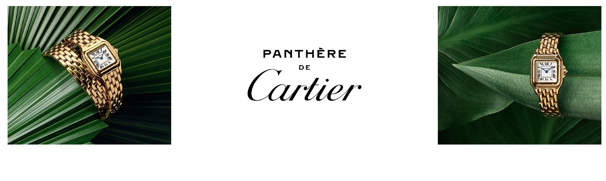 cartier-878694d7