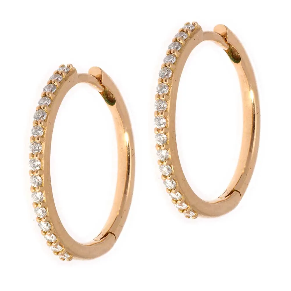 puce-doreilles-emeraude_5-49554-0-c1e63899