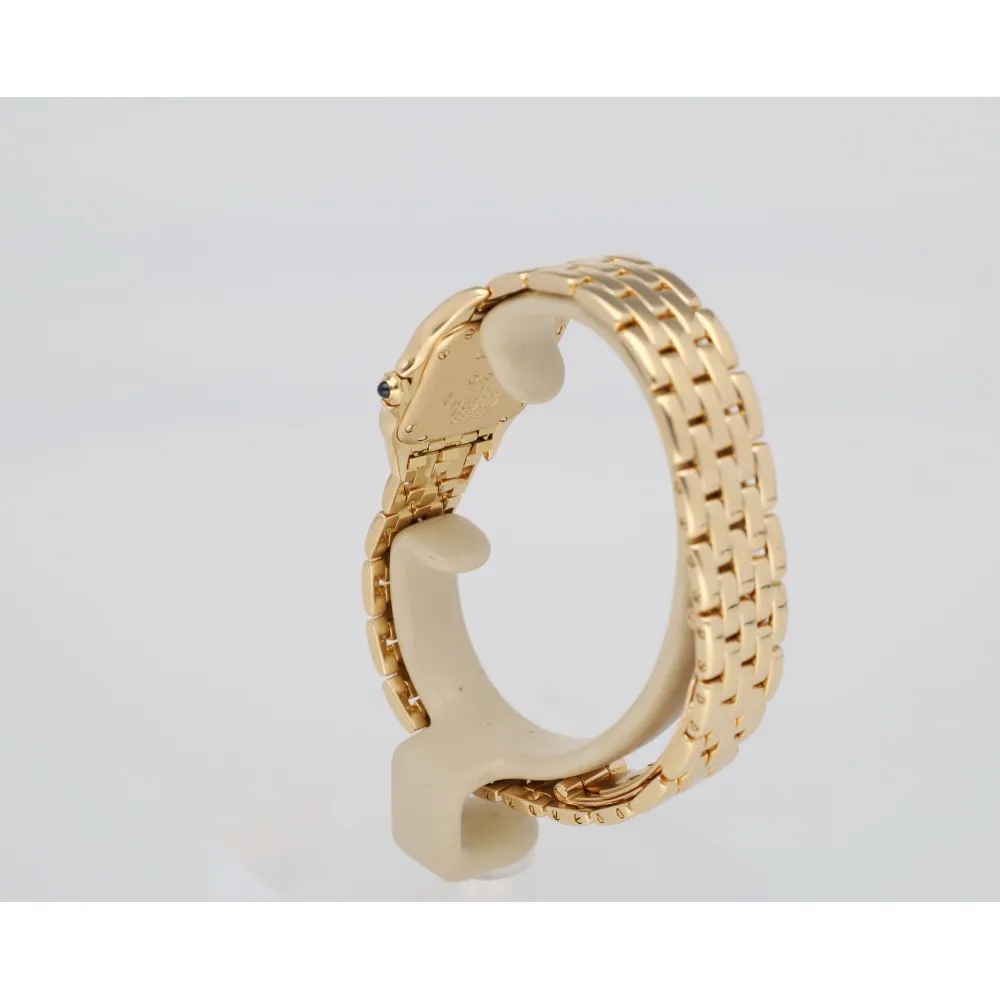 panthere-pm_4-27222-738b15b4