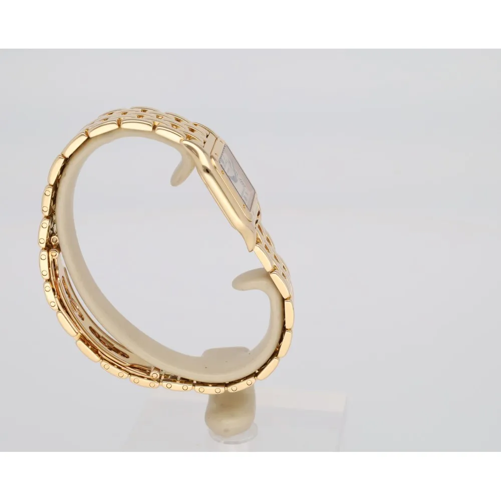 panthere-pm_4-27222-8e431a11