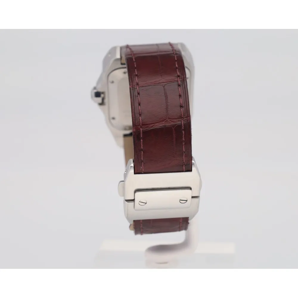 santos-100_4-28491-dc5d0f61