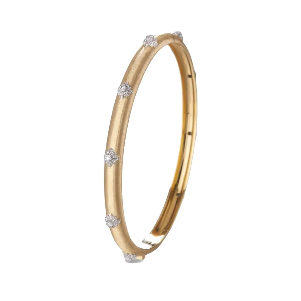 bracelet-macri-bombe_jaubra021924-16-40407472