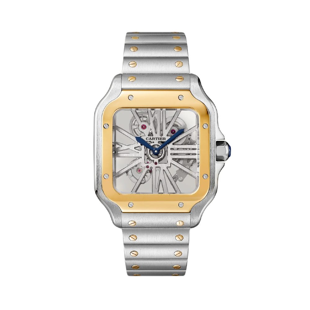 montre-santos-de-cartier_w4sa0005-0-22e76e11