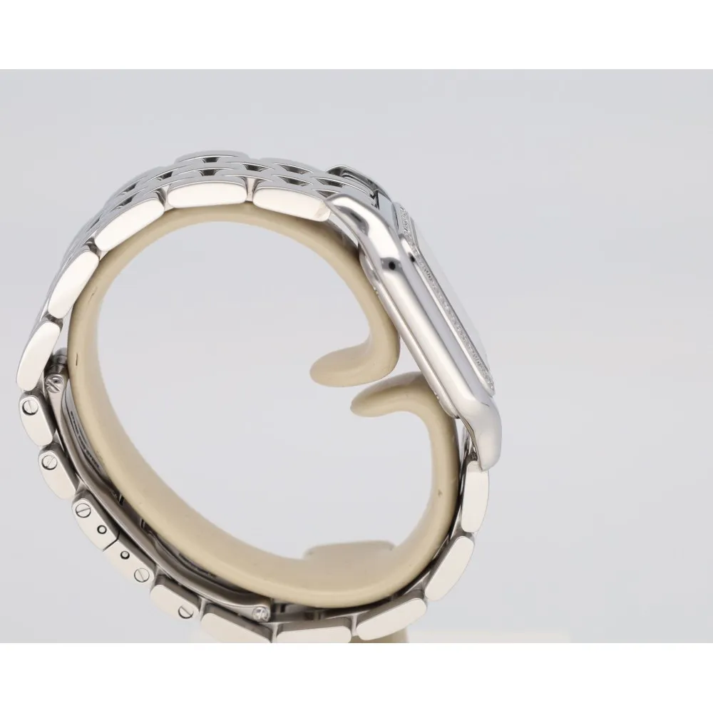 panthere-mm_4-27433-2cb12262