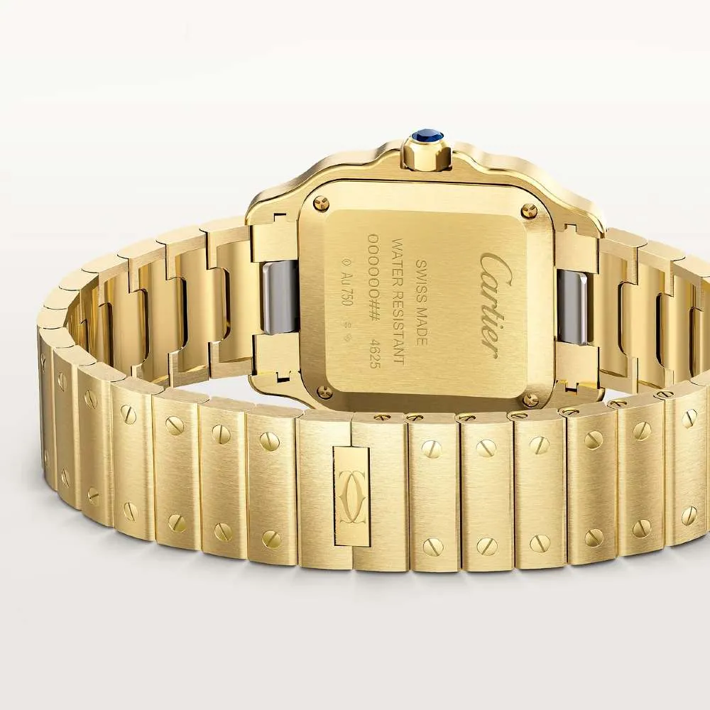 montre-santos-dumont_wgsa0099-0-961c8ddc