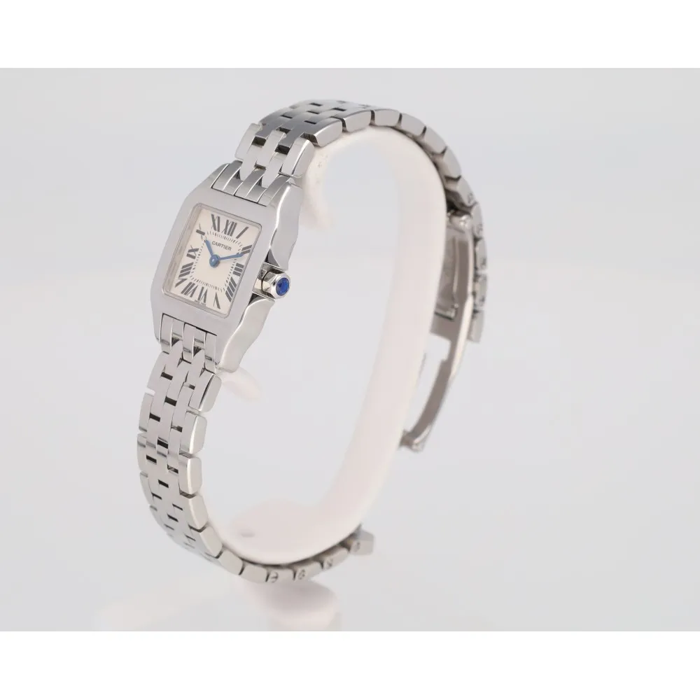 santos-demoiselle_4-28357-041d7834