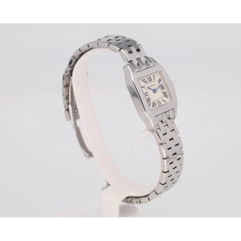 santos-demoiselle_4-28357-5f7a0540