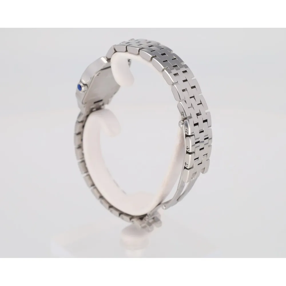 santos-demoiselle_4-28357-9f7a866c