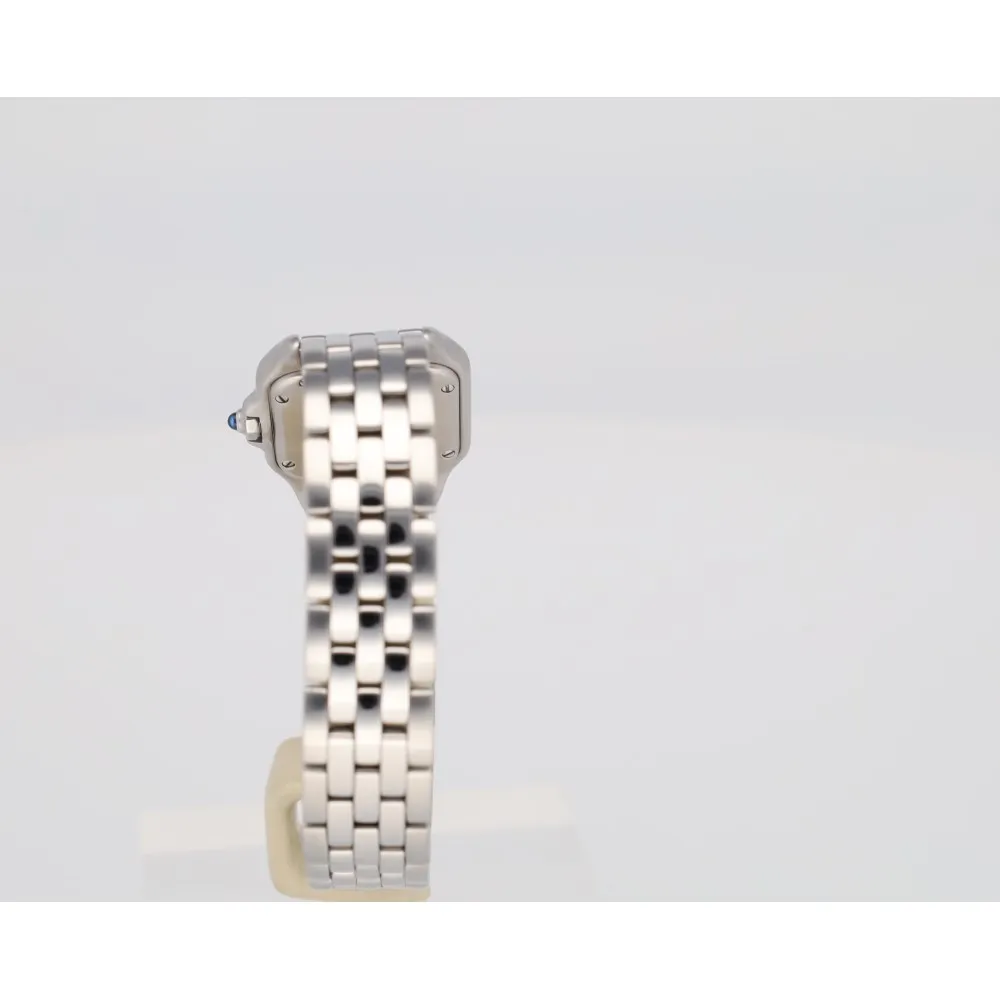 panthere-pm_4-26665-a52e6d87