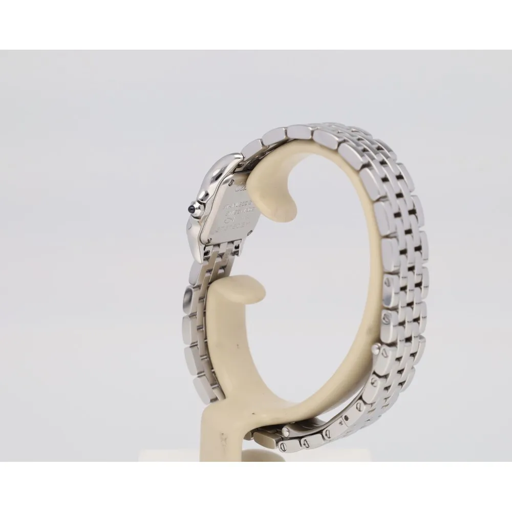 panthere-mini_4-27026-1d3d816e