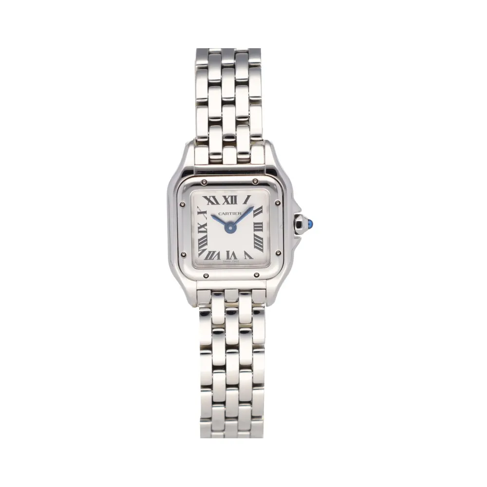 panthere-mini_4-27026-9fdb11a4