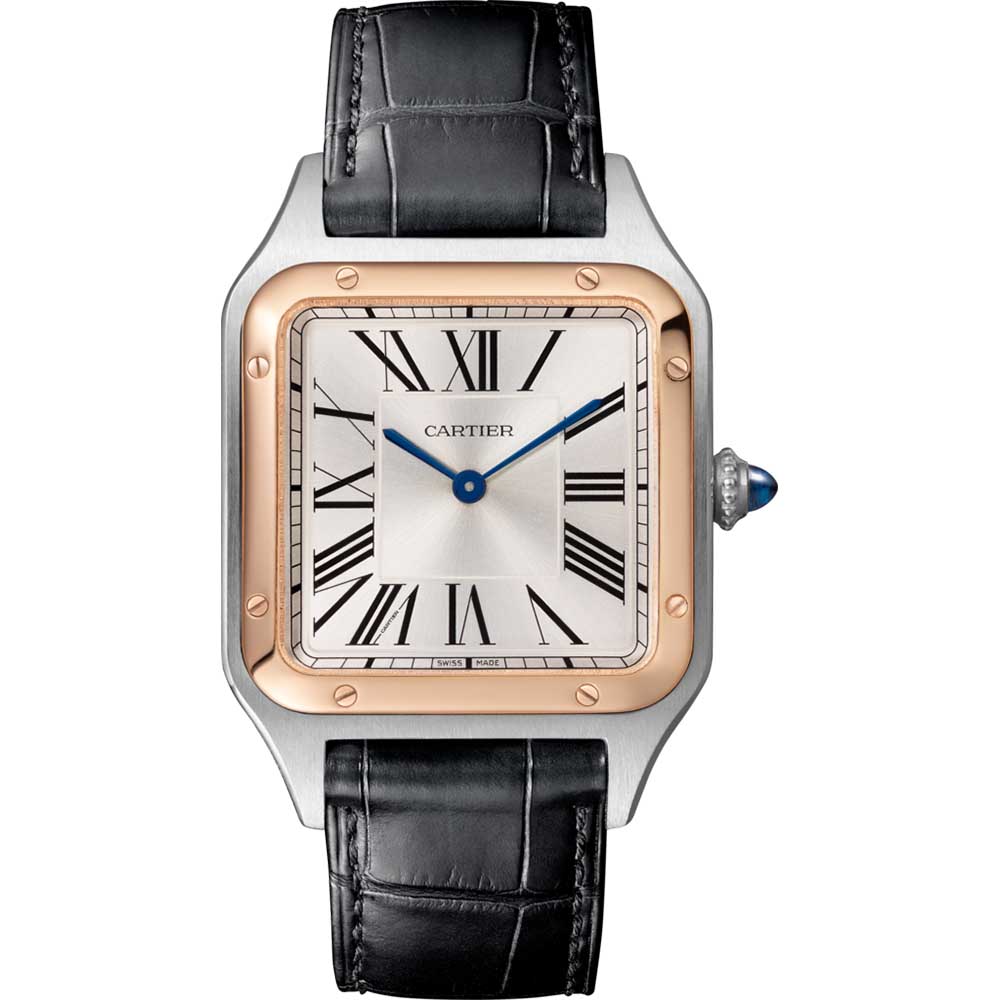 Montre Cartier (Ref : W2SA0011) | MAIER LYON