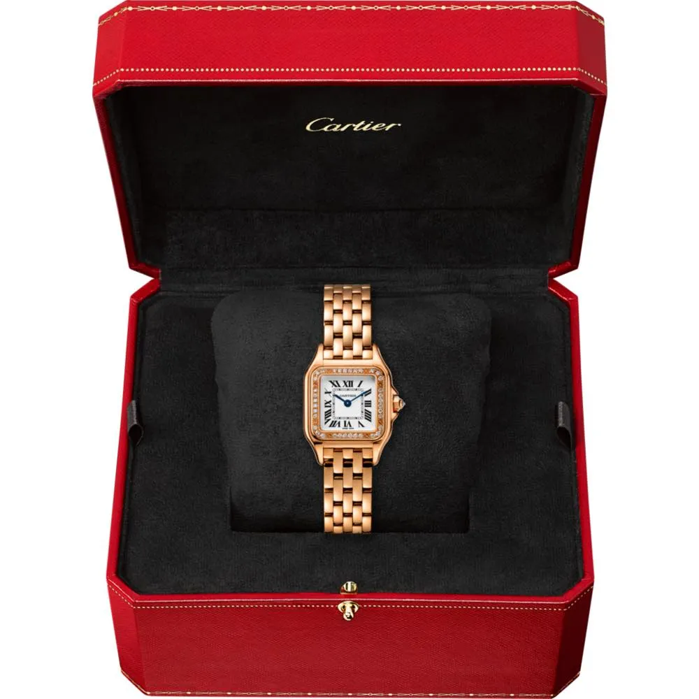 panthere-cartier_WJPN0008-cc2766ea