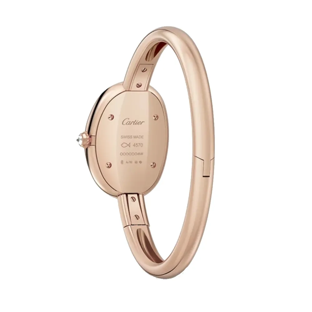 montre-baignoire_wjba0041-a632491d