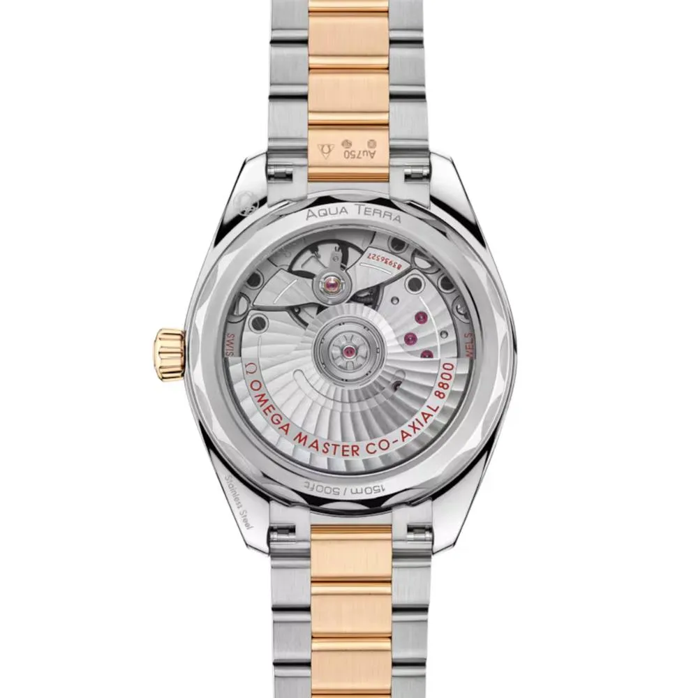 seamaster-aqua-terra-150m_220-10-38-20-01-004-0-8022a83c