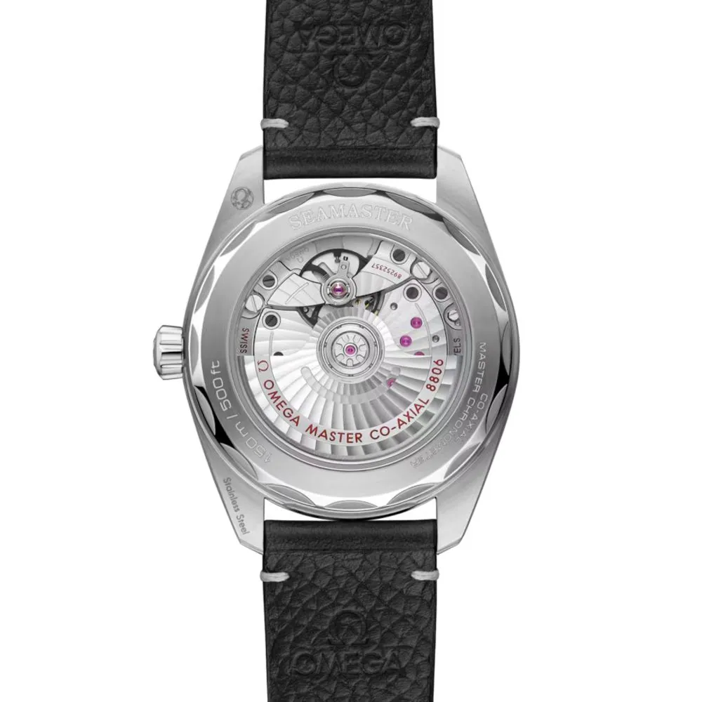 seamaster-railmaster_235-10-38-20-06-001-0-9b0ce5eb