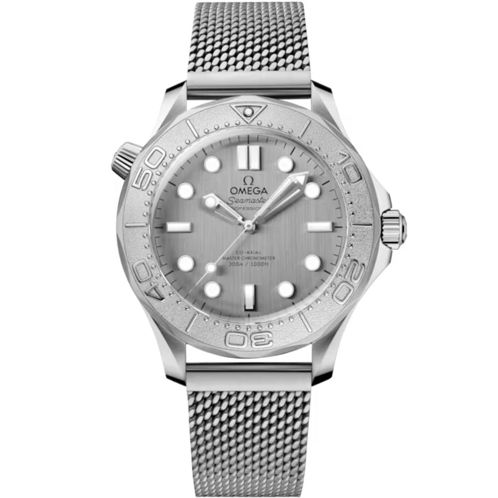 seamaster-diver-300m_210-32-42-20-06-002-0-12de1808