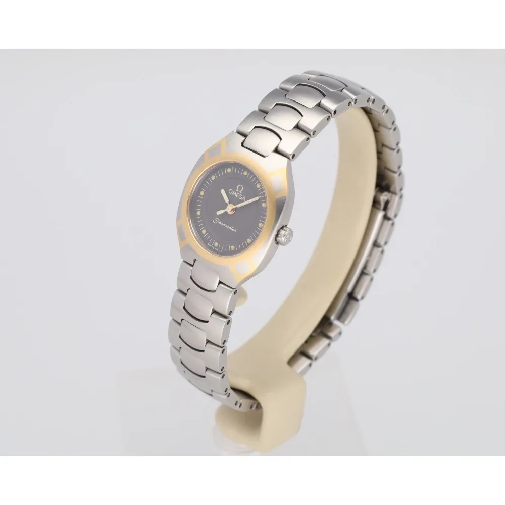 seamaster-polaris-23_4-29506-511da5b6