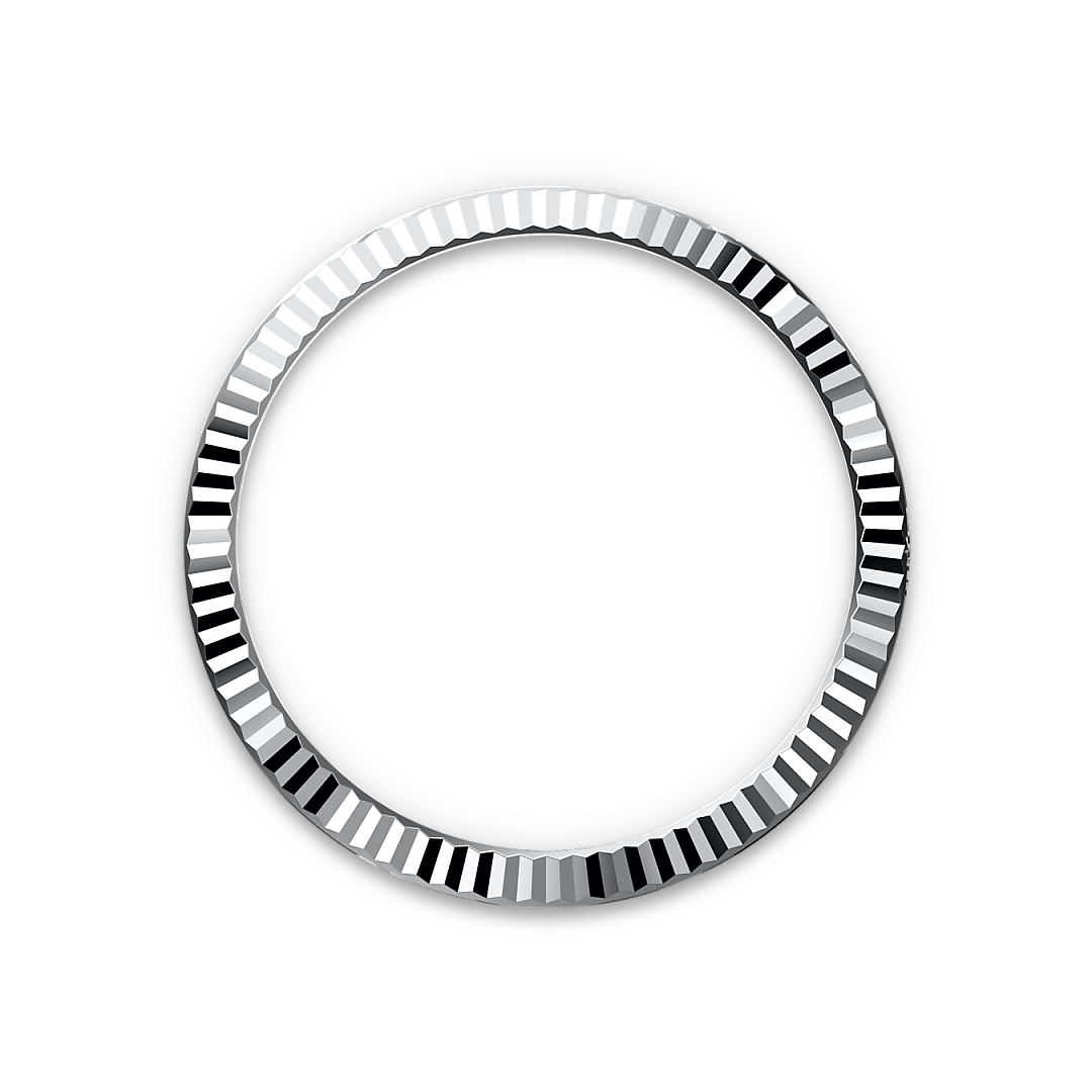 m228236-0012-bezel.webp