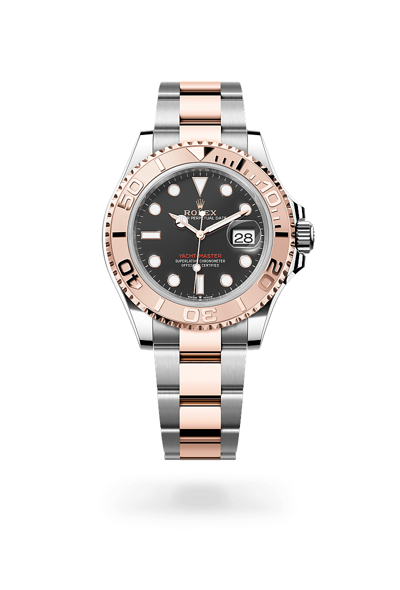 m126621-0002-cover.webp