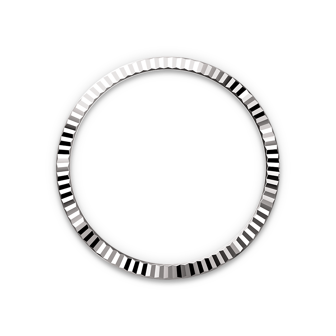 m126234-0029-bezel.webp