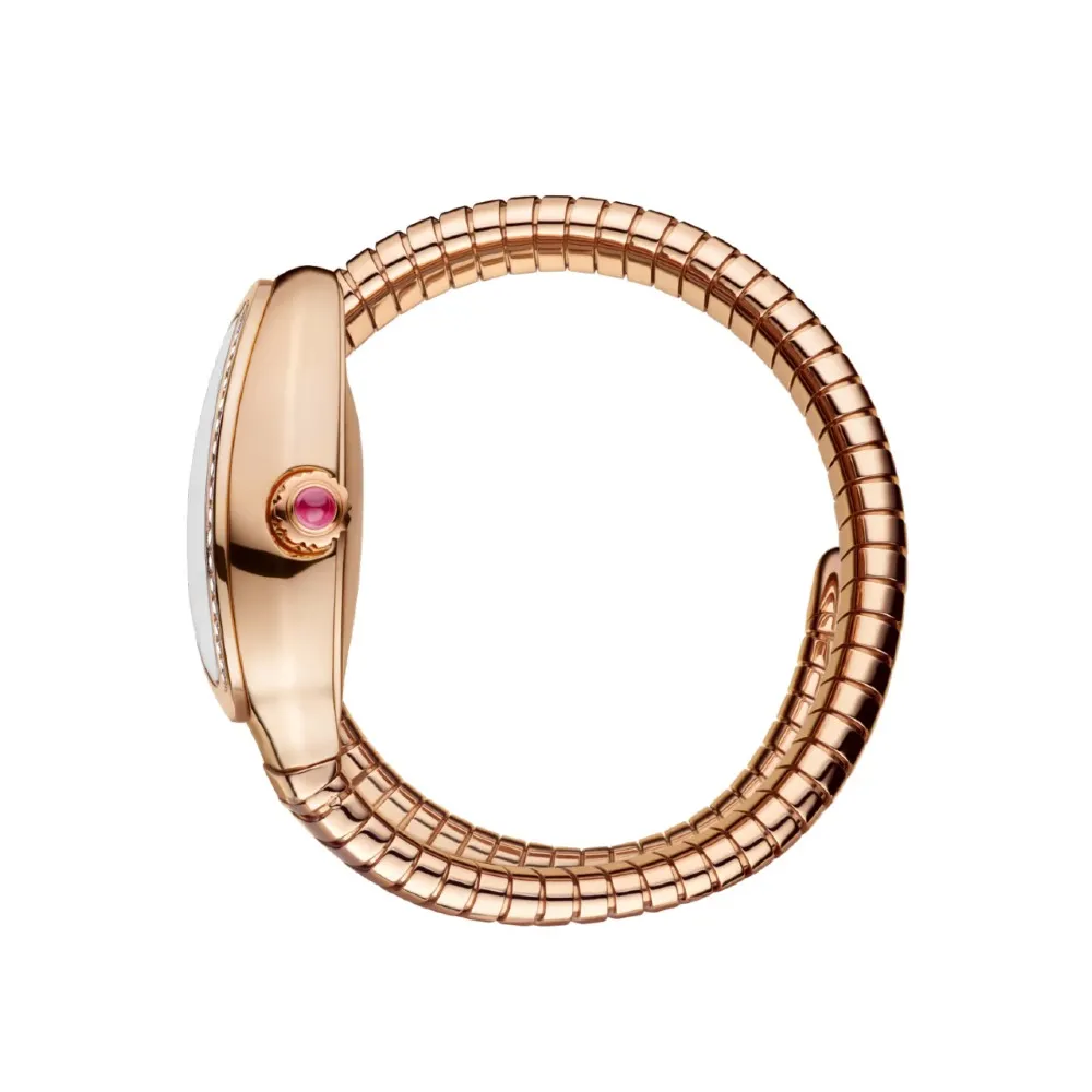 serpenti-tubogas-montre_103903-78618564